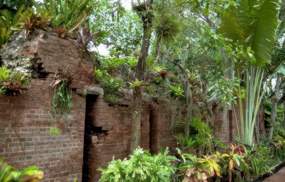brick wall epiphytes Vintage A4 Photo Print