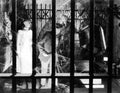 bride of frankenstein 066 film star poster A4 Photo Print