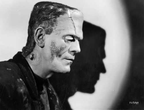 bride of frankenstein p 99 film star poster A4 Photo Print