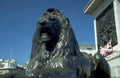 bronze lion statue 1980s 1990s A4 Photo Print