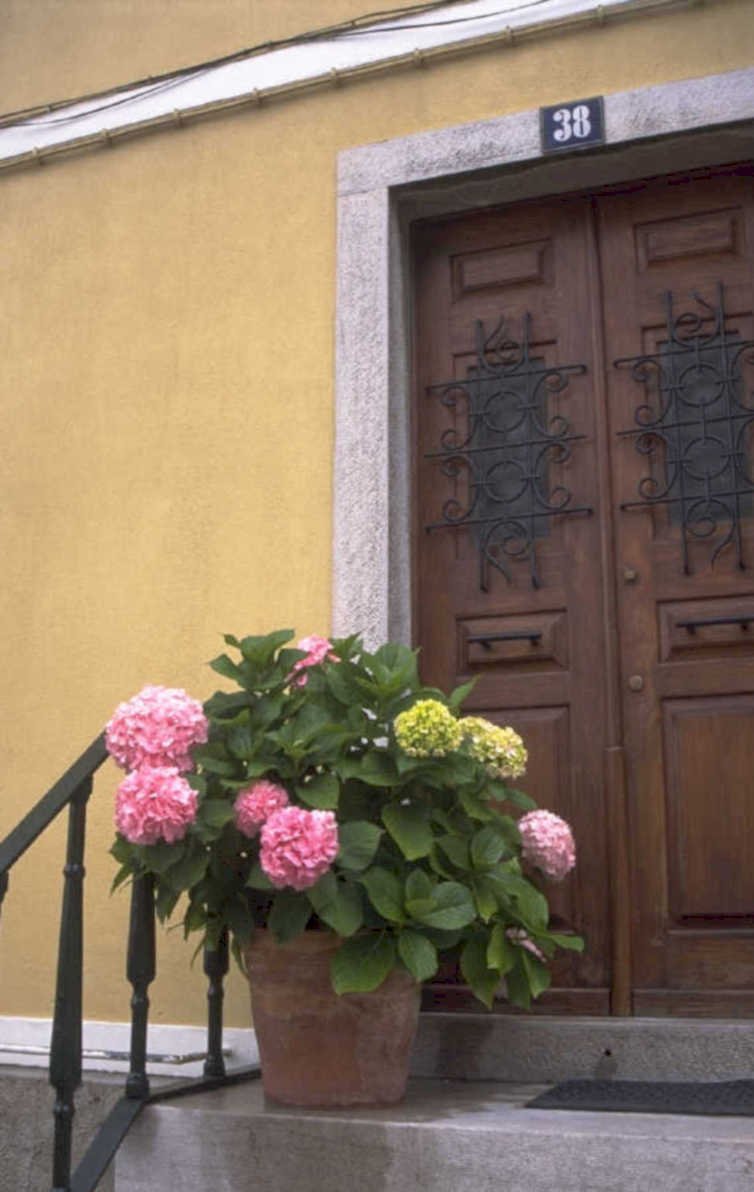 brown door hydrangea 1980s 1990s A4 Photo Print