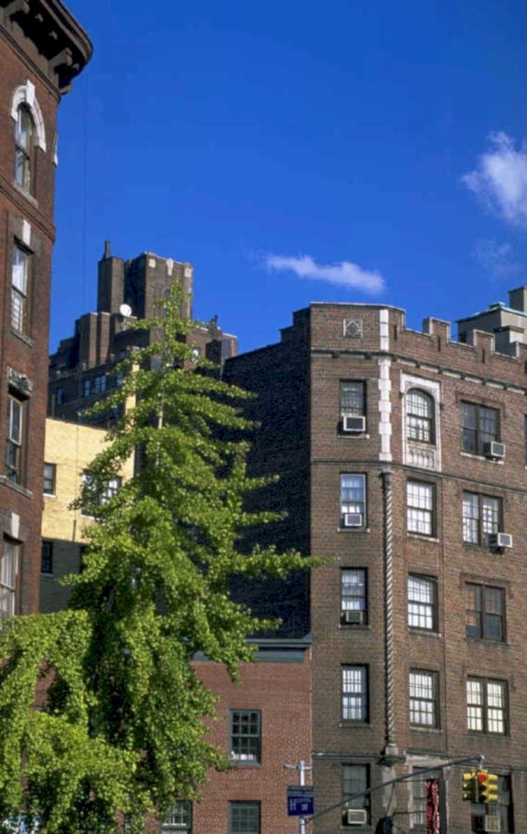 brownstone streetscape nyc 1980s 1990s A4 Photo Print