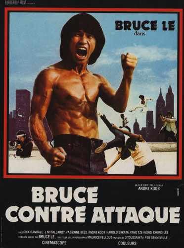 bruce le fights back  01 film star poster A4 Photo Print