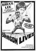 bruce lee man myth  02 film star poster A4 Photo Print
