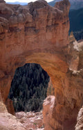 bryce canyon bridge Vintage A4 Photo Print