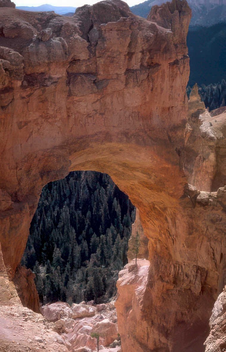 bryce canyon bridge Vintage A4 Photo Print