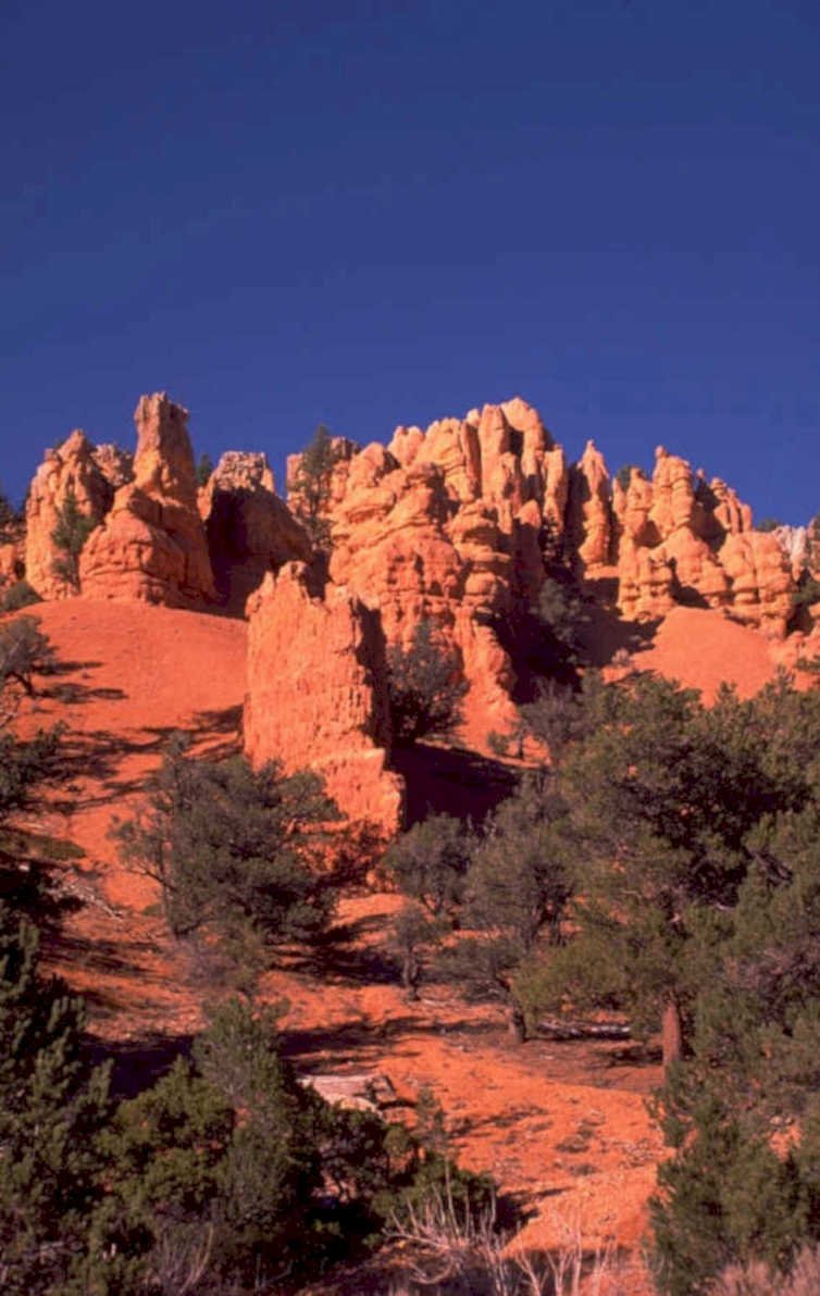 bryce hoodoos landscape 1 1980s 1990s A4 Photo Print 42