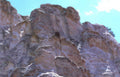 bryce hoodoos rocks Vintage A4 Photo Print