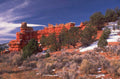 bryce hoodoos winter 1980s 1990s A4 Photo Print
