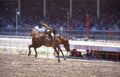 bucking bronco rodeo 1 Vintage A4 Photo Print