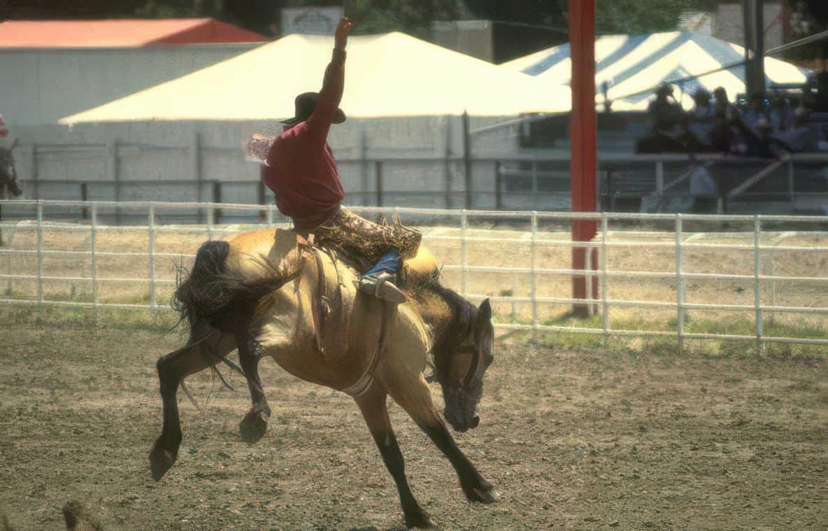 bucking horse rodeo 3 Vintage A4 Photo Print