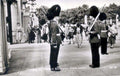 buckingham palace guardsVintage 1880s 1900s A4 Photo Print