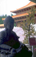 buddhist statue da 1980s 1990s A4 Photo Print