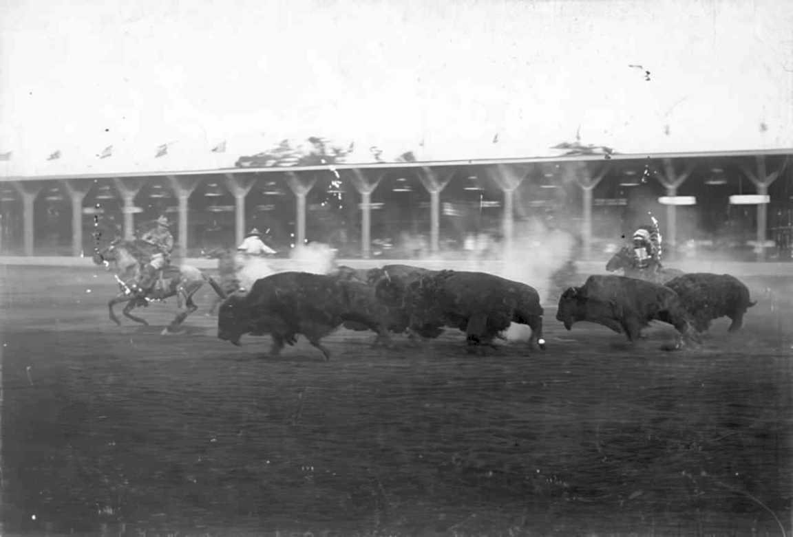buffalo bill rodeo Vintage world war A4 Photo Print