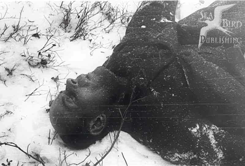 bulge soldier snow Vintage world war A4 Photo Print