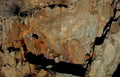 bull cave painting Vintage A4 Photo Print