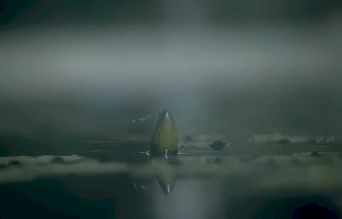 bullet water reflection GIGA Vintage A4 Photo Print