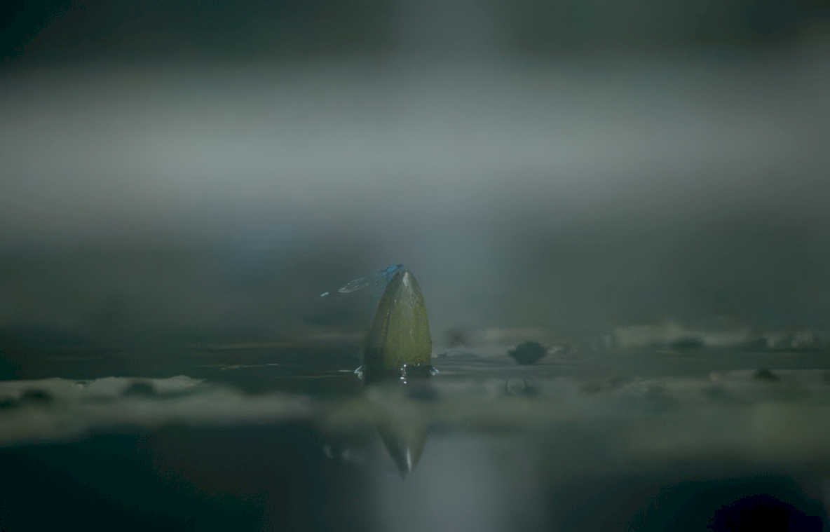bullet water reflection Vintage A4 Photo Print