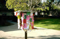 bulletin board fall Vintage A4 Photo Print