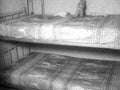bunk bed floral1980s 1990s A4 Photo Print