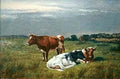 burke Cattle Resting Art A4 Photo Print