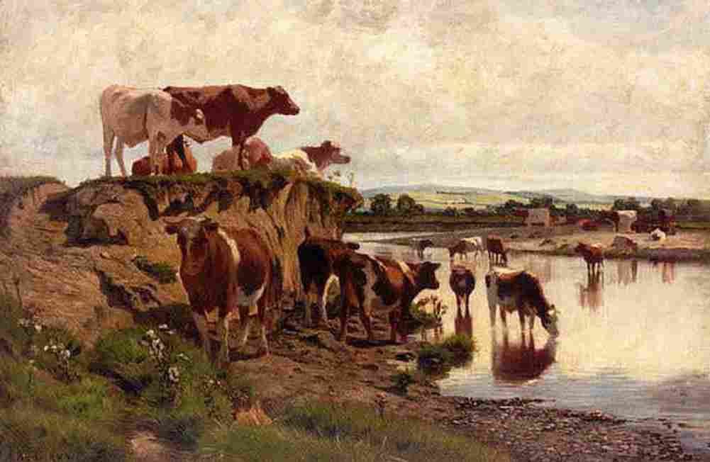 burke Cattle Watering Art A4 Photo Print
