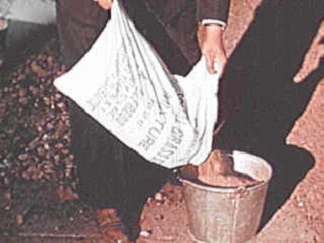 burlap bucket autumn1980s 1990s A4 Photo Print
