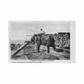 burma rangoon elephants working timber watts skeen Vintage A4 Photo Print