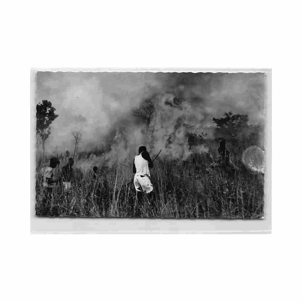 bush fire hoa qui 3802 centrafrique feu de brousse ed hoa qui 3802 Vintage A4 Photo Print