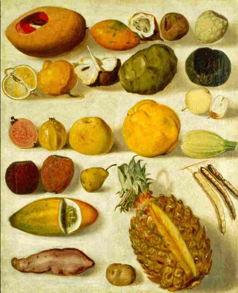 bustos still life with fruits Art A4 Photo Print