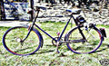 busy bee motorbike A4 Photo Print