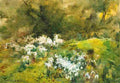 but mil Snow Drops Art A4 Photo Print