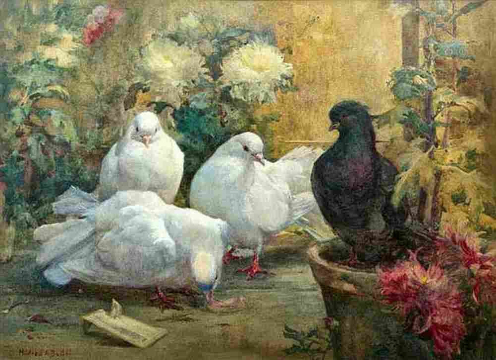 but mil The Doves Art A4 Photo Print