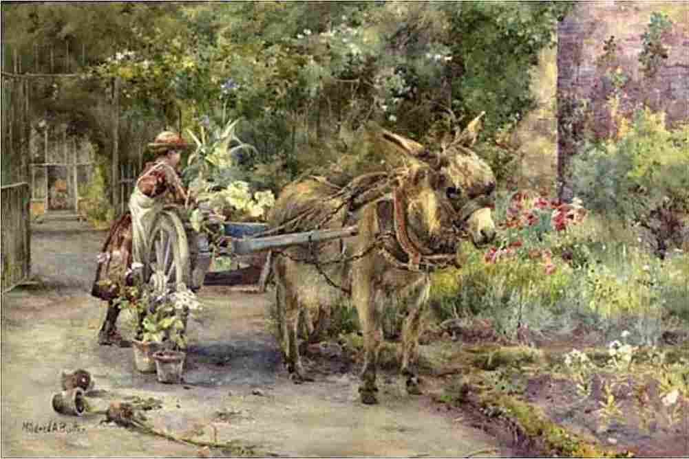 but mil The Garden Cart Art A4 Photo Print