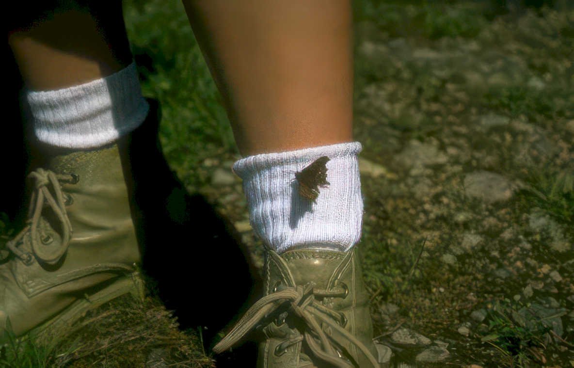butterfly socks legs Vintage A4 Photo Print