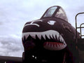 c130 shark mouth1980s 1990s A4 Photo Print