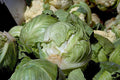 cabbage cauliflower market 1980s 1990s A4 Photo Print