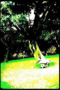 cabin greenfield 2024 Vintage A4 Photo Print