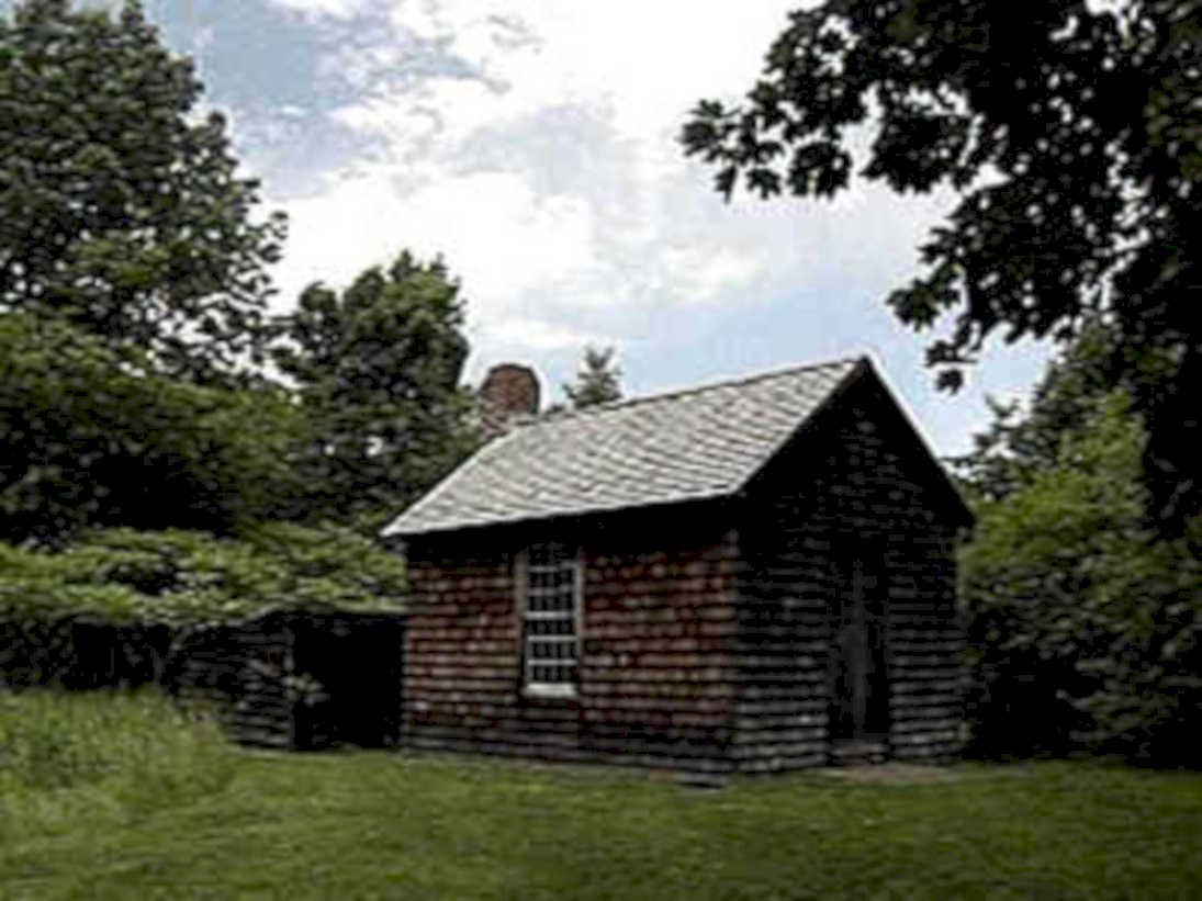 cabin shingles trees1980s 1990s A4 Photo Print