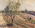 cail Kitchen Garden Art A4 Photo Print