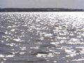 calm lake reflection1980s 1990s A4 Photo Print