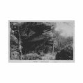 cambodia bokor rocher germain nadal 113 cambodge bokor rocher germain ed nadal 113 Vintage A4 Photo Print