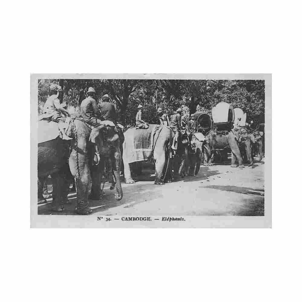 cambodia elephants planted 34 cambodge elephants ed plante 34 Vintage A4 Photo Print