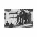 cambodia phnom penh armored elephant v fievet 74 Vintage A4 Photo Print