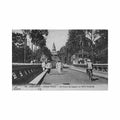 cambodia phnom penh the nagas bridge and vat phnom van xuan 59 Vintage A4 Photo Print