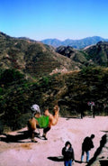 camel great wall1980s 1990s A4 Photo Print