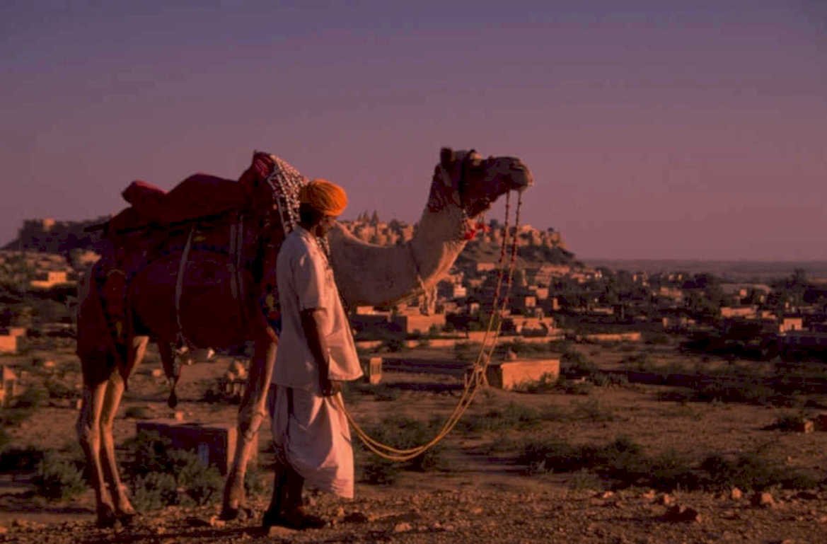 camel sunset jodhpur 1980s 1990s A4 Photo Print