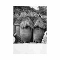 cameroon grain granaries in mora r c tissot 20 cameroun Vintage A4 Photo Print