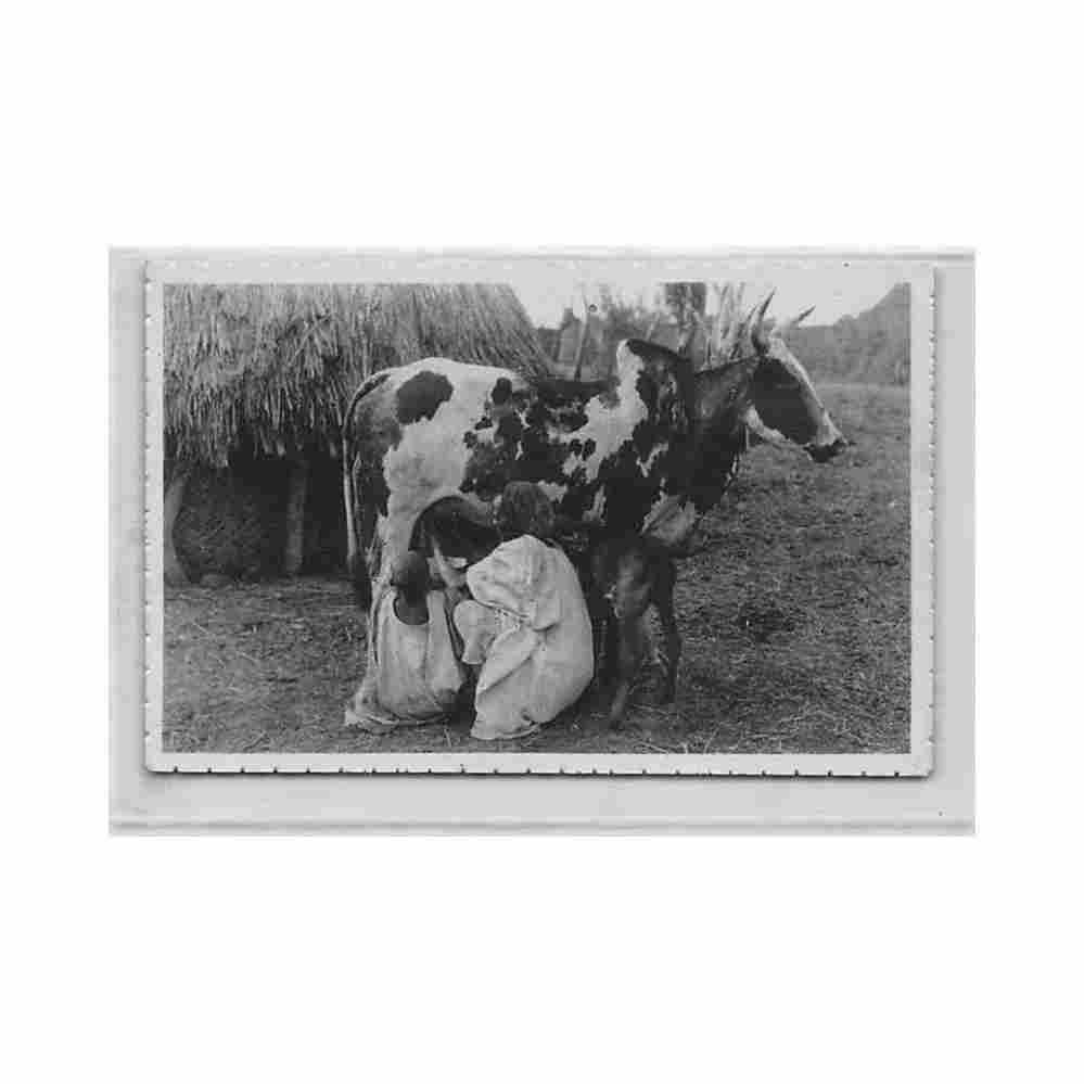 cameroun bergers foulbe ed george goethe Vintage A4 Photo Print