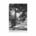 cameroun douala parc du gouvernement ed sea 29 Vintage A4 Photo Print